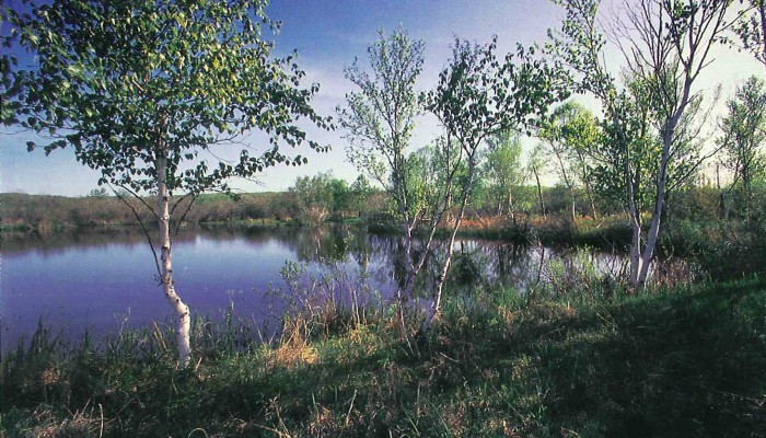 Upper Herring Lake Nature Preserve - Grand Traverse Regional Land