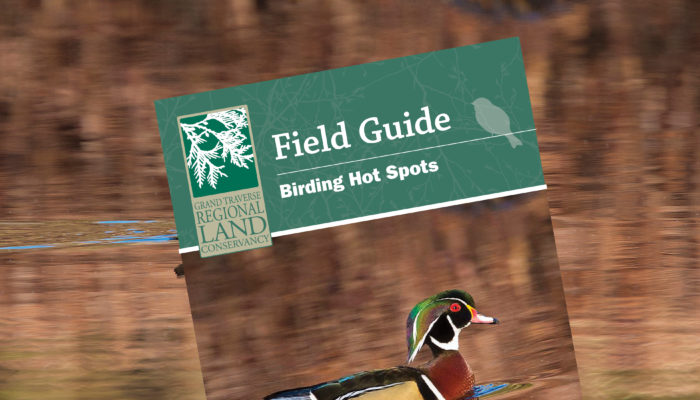 Field Guide to Invasive Species of Minnesota by Amelia Gorman Field Guide to Invasive Species of Minnesota by Amelia Gorman