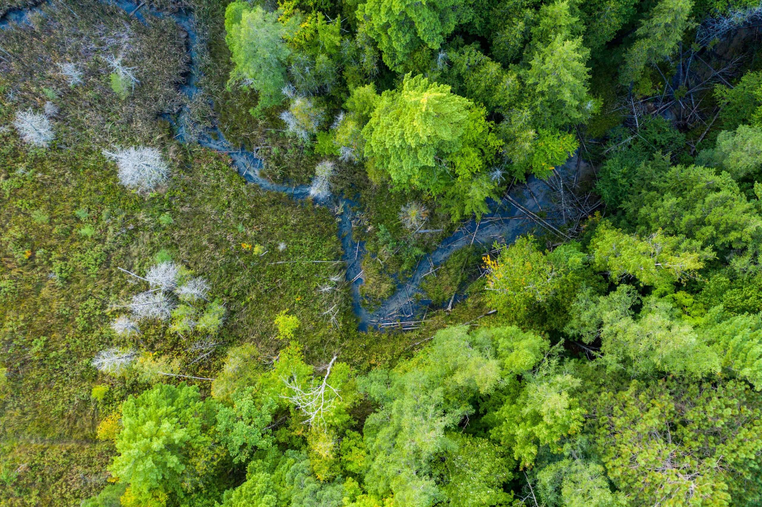 Events - Grand Traverse Regional Land Conservancy